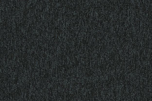 Ковровая плитка Interface New Horizons II 5589 Carbon фото  | FLOORDEALER